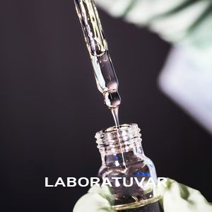 Laboratory_Icon